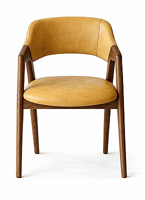 Tashi Upholstered Back Dining Chair