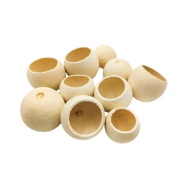 Bell cup dried exotic for floral décor and potpourri