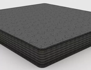 Centuary ORTHOACTIVE|78X36X6|||Coir Mattress