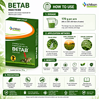 Ichiban BETAB Insecticide (Ethiprole 10.7% + Pymetrozine 40% WG) | Vetrivel Agro Services