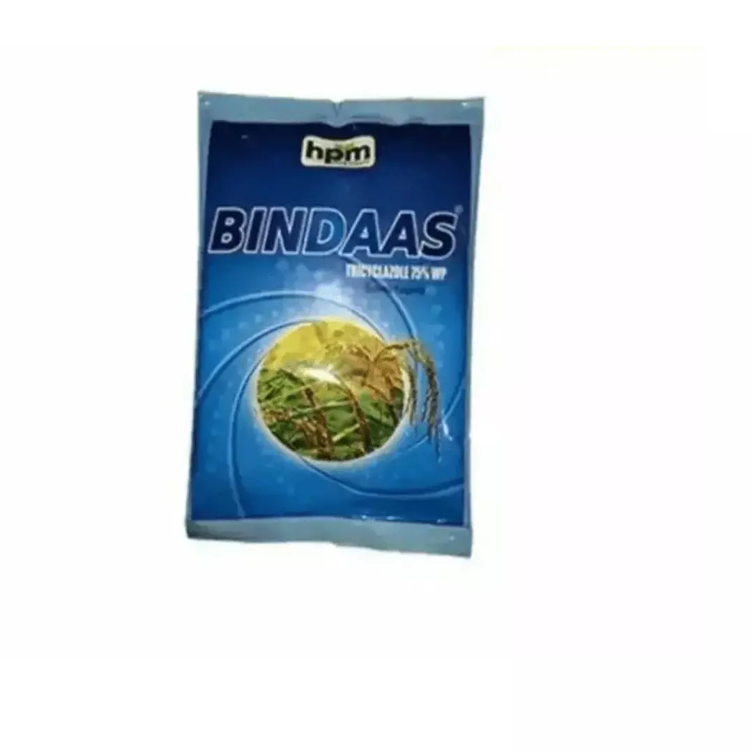 Bindass