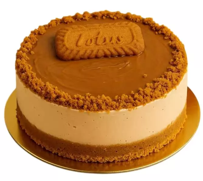 Biscoff Cheese Cake