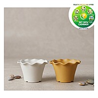 Blossom Pot – Premium Scalloped Nursery