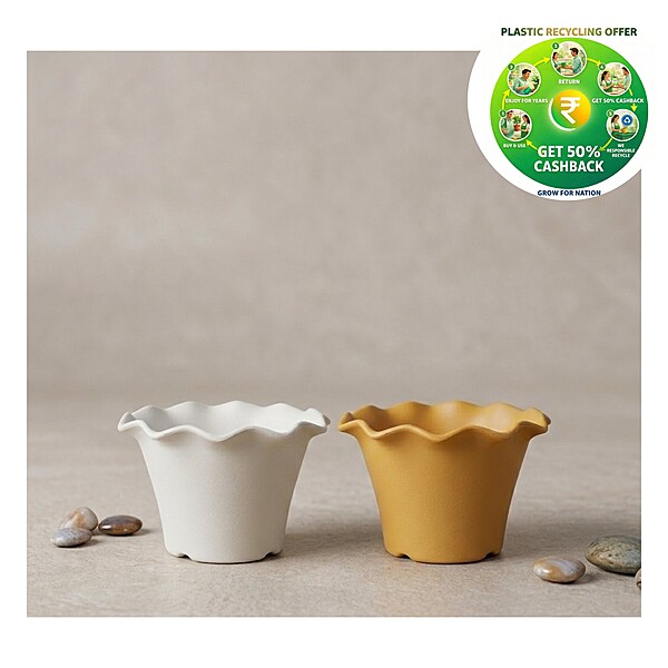 Blossom Pot – Premium Scalloped Nursery