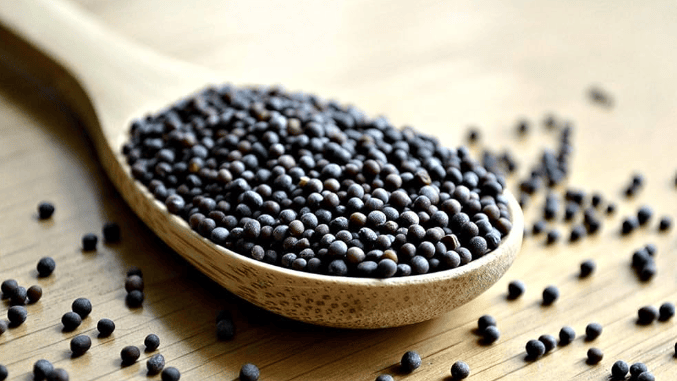 BLACK MUSTARD SEEDS