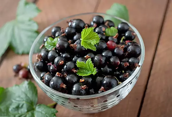 IFF – Black Currant Flavour – S 2461