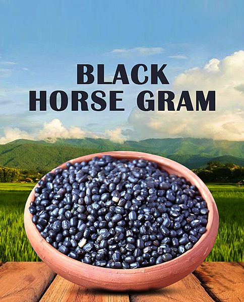 Black Horse Gram / Karuppu Kollu