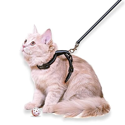 Reflective Cat Harness with Leash Set Reflective Cat Harness with Leash Set