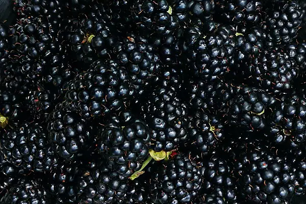 Blackberry (125 gm)