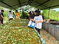 Decentralized Village Composting Model for FPOs