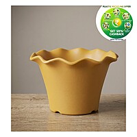 Blossom Pot – Premium Scalloped Nursery