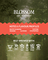 New Blossom New Blossom