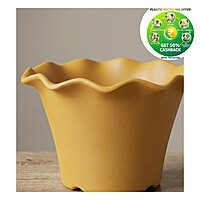 Blossom Pot – Premium Scalloped Nursery