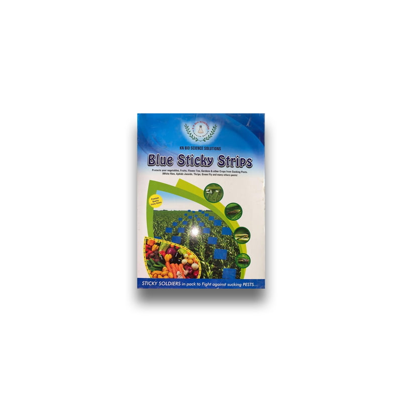 Blue Sticky Traps Uses - IPM Practice