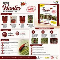 Barrix Hunter Red Palm Trap and Lure | Vetrivel Agro Services
