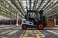 Forklift Maintenance for Agri Warehouses