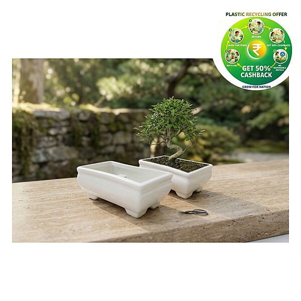 Bonsai Small Plastic Pot | 4 Inch | White | Indoor & Decorative Planter