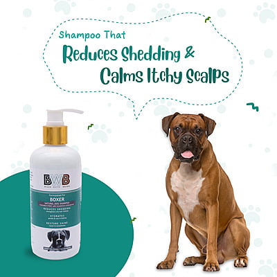 BWB BOXER SHAMPOO BWB BOXER SHAMPOO