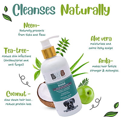 BWB BOXER SHAMPOO BWB BOXER SHAMPOO