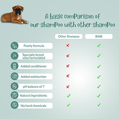 BWB BOXER SHAMPOO BWB BOXER SHAMPOO