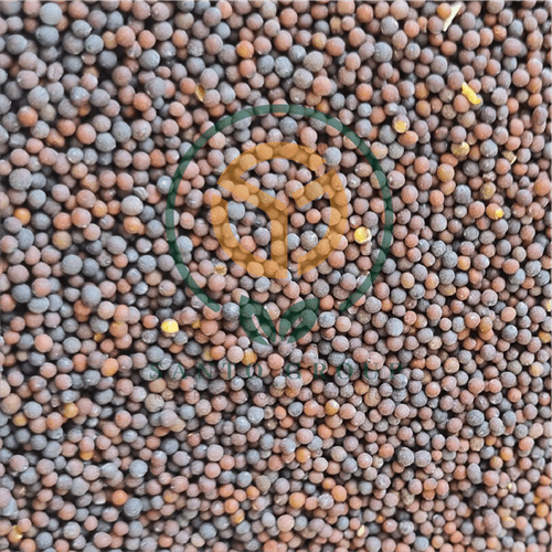 Mustard Seeds-Brown/Black