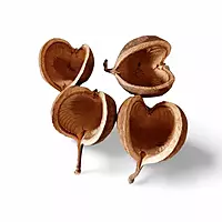 LeafnDeor dried Buddha nut shells, natural home decor, potpourri, and eco-friendly craft projects