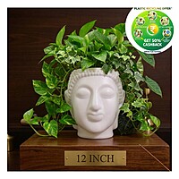 Buddha Plastic Pot|White