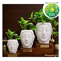 Buddha Plastic Pot|White