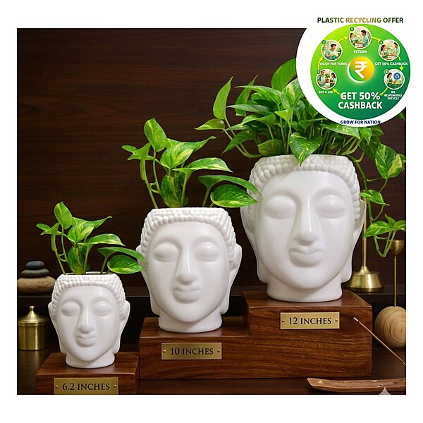 Buddha Plastic Pot|White