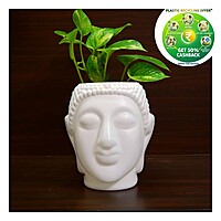 Buddha Plastic Pot|White