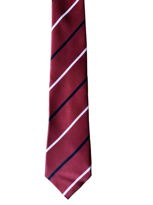 Burgundy Striped Necktie