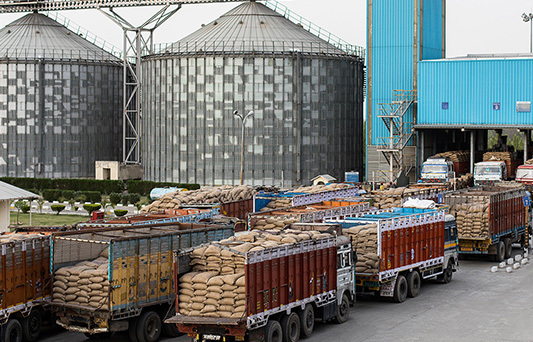 Grain & Bulk Produce Transport to Warehouses