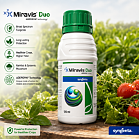 Syngenta MIRAVIS® DUO Fungicide | Vetrivel Agro Services