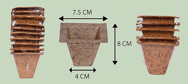Coco Spanish Cup | 3 Inch Square Coir Planter | Natural Coconut Coir Pot