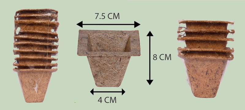 Coco Spanish Cup | 3 Inch Square Coir Planter | Natural Coconut Coir Pot