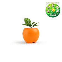 Apple Plastic Plant Pot | Decorative Round Planter | Multicolor