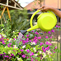 Ecsha Litre Large Plant Watering Can for Garden-Green