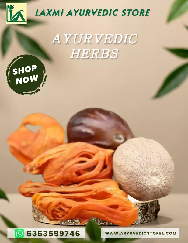 Jajikai - Nutmeg - Jaiphal