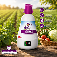 Coragen Insecticide | Vetrivel Agro Services