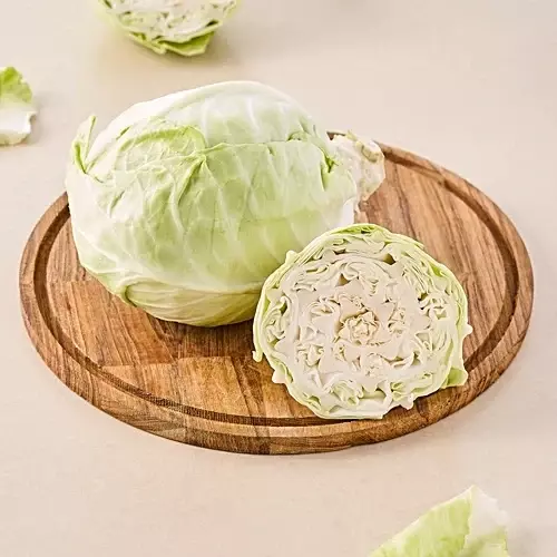 Cabbage முட்டைக்கோசு