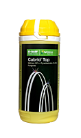 Cabrio Top Fungicide by BASF