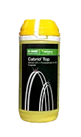 Cabrio Top Fungicide by BASF