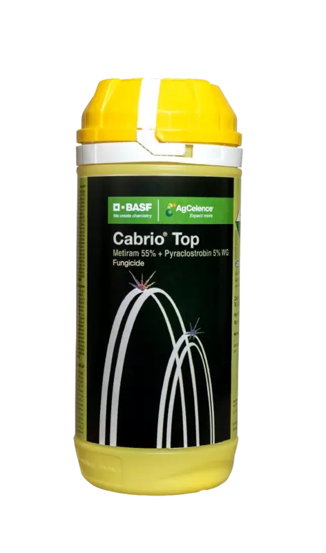 Cabrio Top Fungicide by BASF
