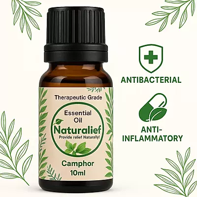Camphor Essential Oil – Purifying, Soothing & Energizing