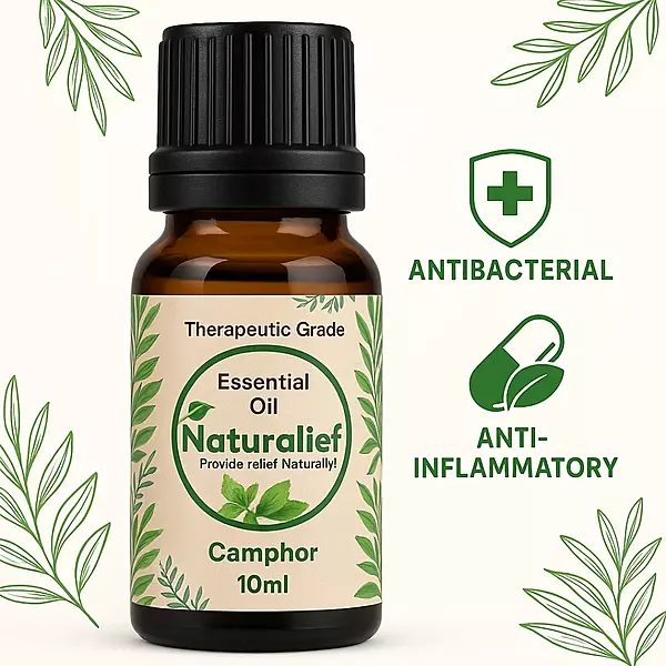 Camphor Essential Oil – Purifying, Soothing & Energizing