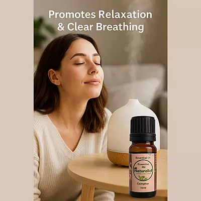 Camphor Essential Oil – Purifying, Soothing & Energizing