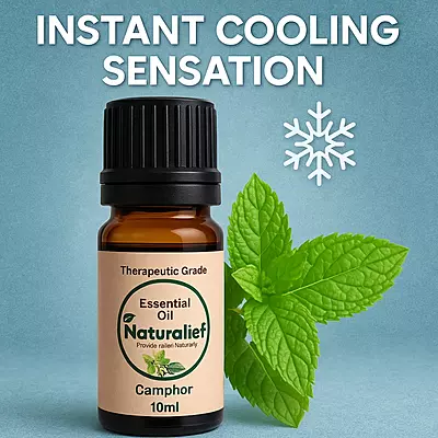 Camphor Essential Oil – Purifying, Soothing & Energizing