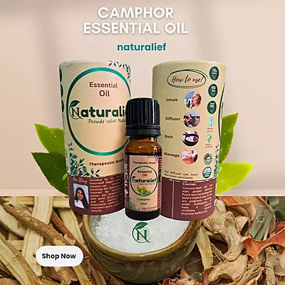 Camphor Essential Oil – Purifying, Soothing & Energizing