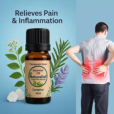 Camphor Essential Oil – Purifying, Soothing & Energizing