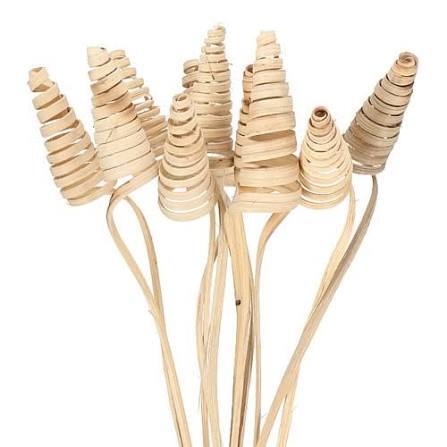 Cane Cone